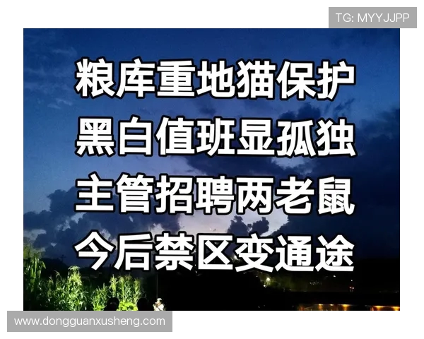 早报聚焦：今日谜底终将揭晓，所有悬念一一破解，真相大白于天下