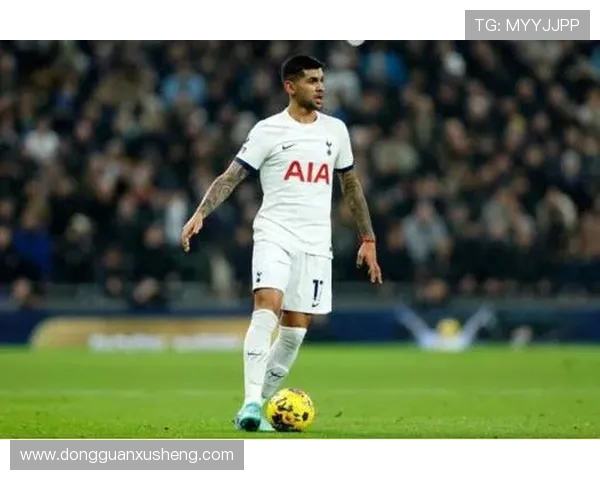 热刺公布全新队长团队罗梅罗领衔本戴麦迪逊维卡里奥范德芬入选