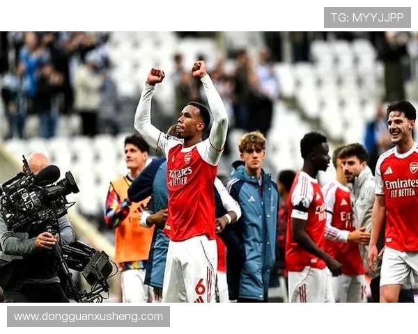 阿森纳半场落后纽卡沃尔特马德头球建功波普多次神扑力保城门不失 - 副本